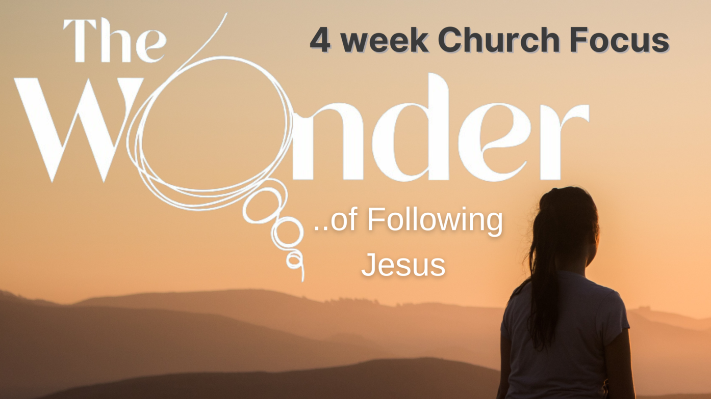 The Wonder of Following Jesus Resources Our Saviour Lutheran Church